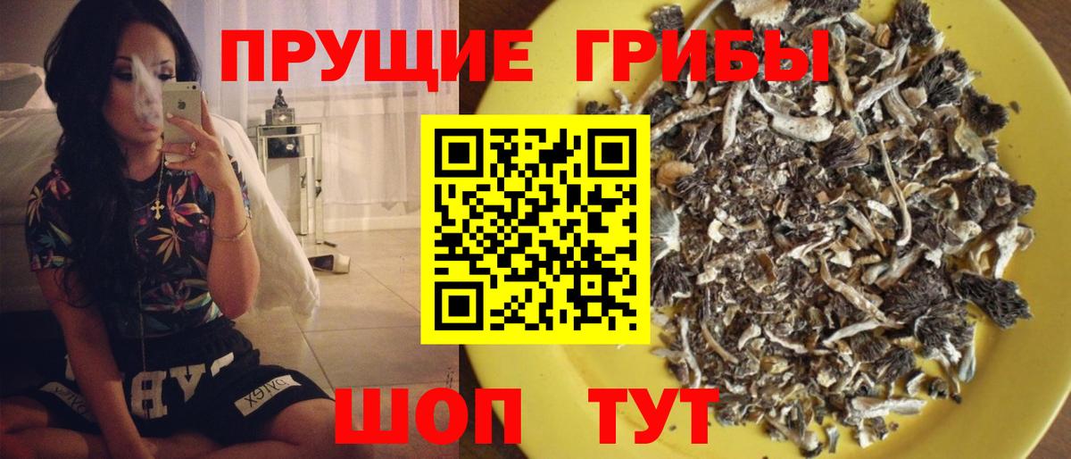 Псилоцибиновые грибы Psilocybine cubensis  Галлюциногенные грибы GOLDEN TEACHER  Вход с VPN  Чайковский 