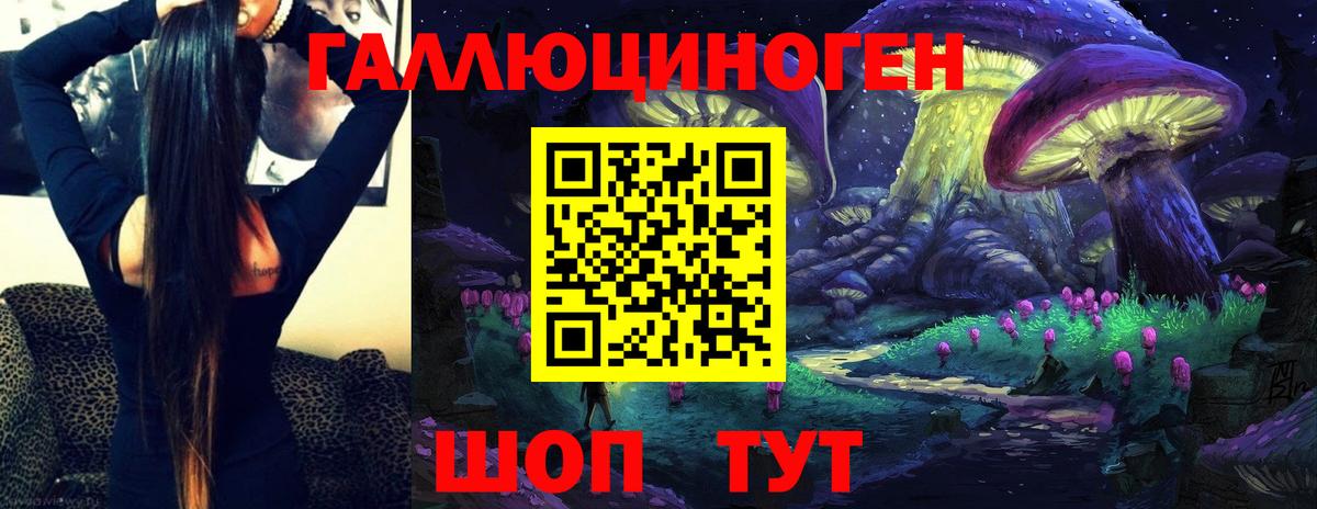 Галлюциногенные грибы Psilocybine cubensis Чайковский